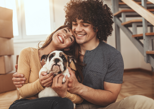 Couple snuggling bulldog inside home